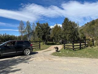 Cabañas el Remanso - 1