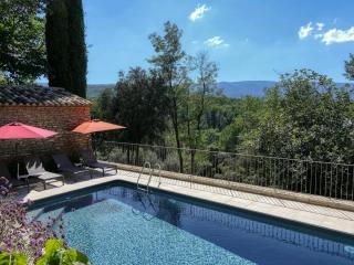 Mas rénové à Ménerbes : piscine privée, clim, wifi, animaux admis, parking - FR-1-708-82 - Ménerbes - 8