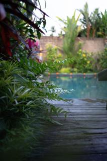 Panorama Paddy Paradise - Ubud - 4