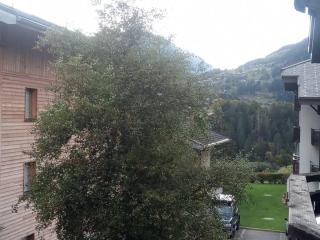 Studio 19m² calme avec balcon sud et parking privatif à Montriond - FR-1-573-133 - Montriond - 4