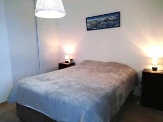 Élégant appartement à Plagne Centre avec parking et Wifi - FR-1-351-230 - La Plagne Tarentaise - 1