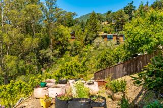 Enchanted Waterfall Sanctuary - Mill Valley - 2