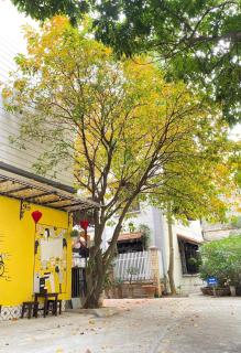 NGÁO Home - Giảng Võ - 5