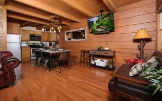 Queen of the Hills The Perfect Cabin - Gatlinburg - 3