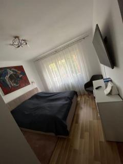 Modern 2-Room Apartment - Satu Mare - 3