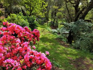 Huntington Lodge and Cottage - Mount Tomah - 4