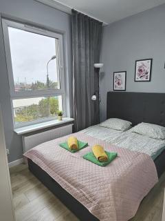 Urban Jungle - Grey Apartment - Białystok - 4