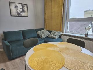 Urban Jungle - Grey Apartment - Białystok - 7