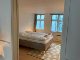 Stylish Apartment - View of The Marble Church - Copenaghen - 5