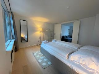 Stylish Apartment - View of The Marble Church - Copenaghen - 3