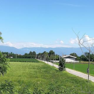 B&B Il Maggiociondolo - 1