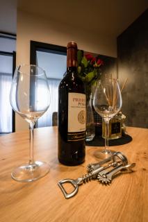 AK Apartamenty Panorama SPA - Białystok - 7