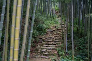 安吉山楂树民宿 Thorntree's Home - Dashan - 1