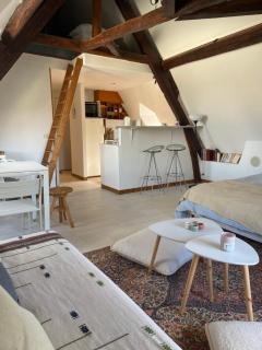 Charmant studio cosy et lumineux à 40 min de Paris - 4