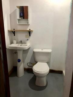 Blue Zone Cozy Cabaña Peaceful Getaway - - 6