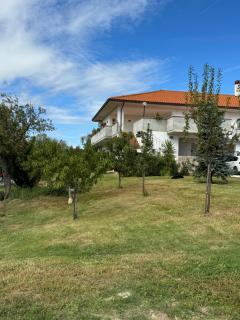 Casa Vacanze Cerreto 1 - Miglianico - 1