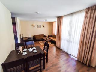Dream Private Apartment N511 - Bansko - 8