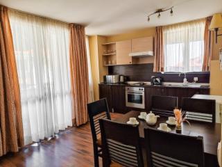 Dream Private Apartment N511 - Bansko - 1