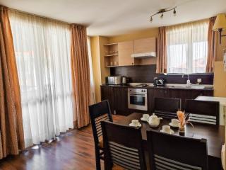 Dream Private Apartment N511 - Bansko - 0