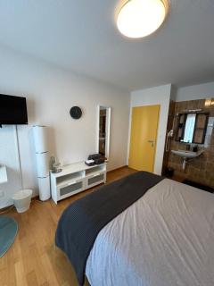 Hotel Thurpark - Wattwil - 6