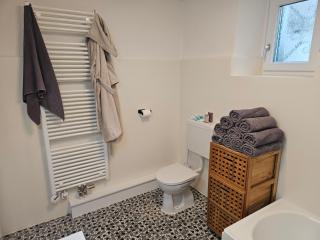 Premium Apartment mit privatem Whirlpool, Sauna, Garten - Sankt Martin am Grimming - 1
