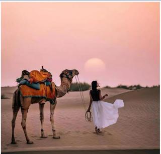 Hilton Heritage Resort Jaisalmer - Sām - 4