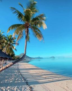 The Pinkpigeon beach house - Flic-en-Flac - 9