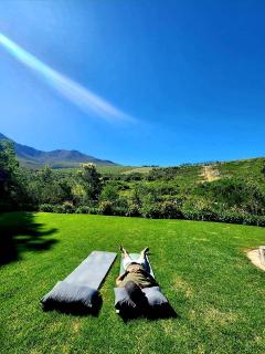 Babylons Tower Shepherds Hut - Mosselrivier - 5