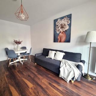 Cozy Corner Apartment with Baby Crib and Free Parking - Braşov - 9
