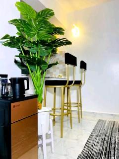 Bachan Holdings - Nairobi - 2