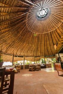 Yolitia Wellness - Malinalco - 1