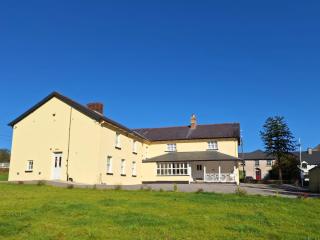 The Monkey Puzzle - Bunclody - 7