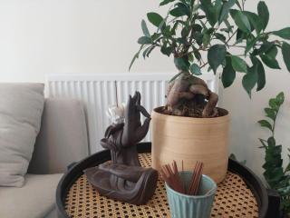 Modern Flat Close to Heathrow Airport & Central London - 4