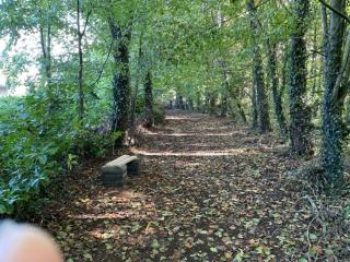 The Cottage Greenacre House, Carrow, Dualla, Cashel, County Tipperary E25T672 - Cashel - 7