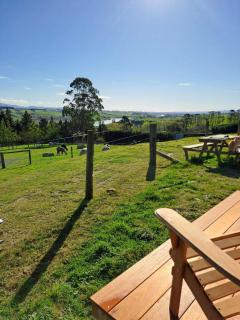 Bruce Farm Alpaca Cabin 1 by Tiny Away - Balclutha - 9