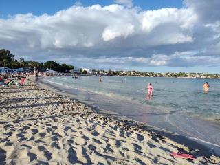 Endless Summer - 7