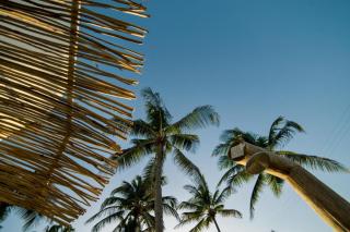 VentoVinte Beach Club Tents - Estrela - 1
