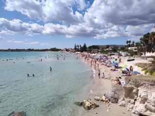 Endless Summer - 8
