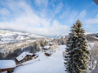 Charmant appartement au Mont d'Arbois proche pistes, parking inclus - FR-1-569-11 - Megève - 4