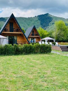 Eco cottage in Borjomi with pool 2 - Sadgeri - 1