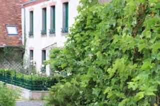 3 Aux Dames Vertes - Cuzion - 9