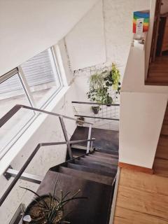 Lightful architectural house - 1