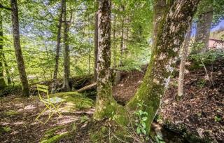 Ô songes de Saxel - 2