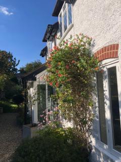 Ramblers, Burley, New Forest - Burley - 9