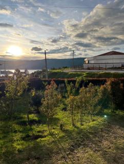 Buenavista Mox - Guatavita - 3
