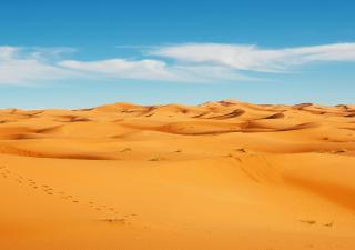 Desert glamping experience - 4