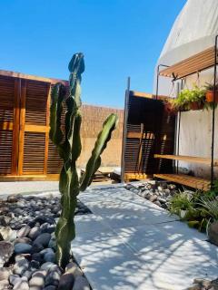 Casa Caracol - Finca Oaxaca - Agaete - 6