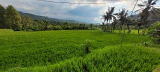 Pondok Kalanganyar - 4