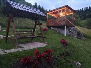Cabana Taul Brazilor - Roşia Montană - 1