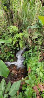 Pondok Kalanganyar - 5